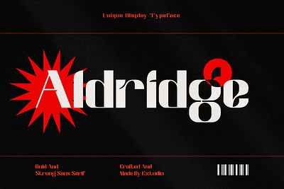 Unique Display Font - Aldridge branding display display font display typeface elegant font font design fonts lettering logo logo design logo font modern popular serif serif font serif typeface typeface typeface design typography