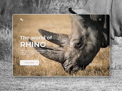 Rhino 003 animals challenge daily 03 daily 100 challenge dailyui design figma flat graphic design info landing minimal ux web website