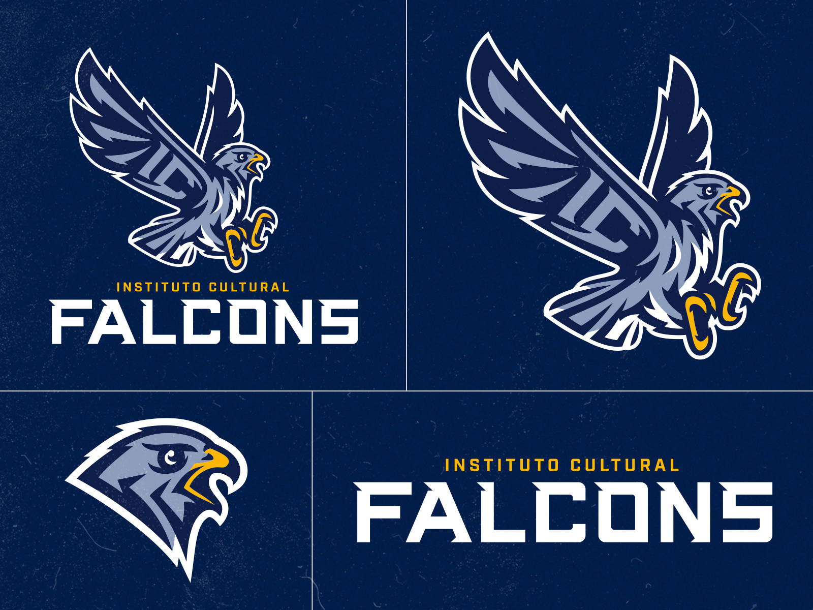 Example of Logo Design Identity Package