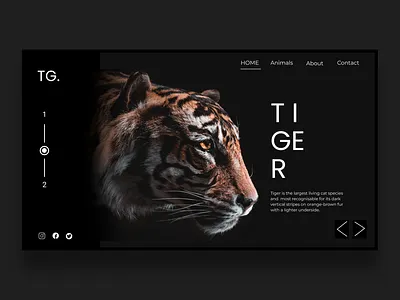 Tiger Website Design Inspiration design figma photoshop uiux ux webdesign website