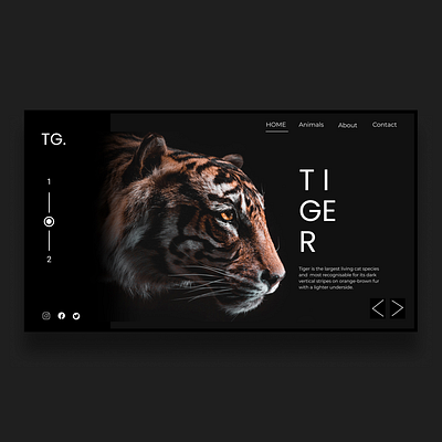 Tiger Website Design Inspiration design figma photoshop uiux ux webdesign website