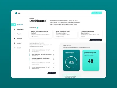 SIE Dashboard branding design ui web web design