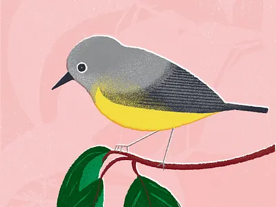 Pantone color of the year bird bird illustration colorful digital art illustration