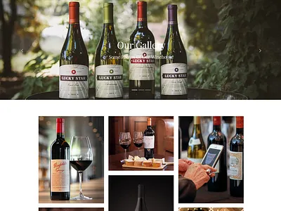 Gallery Page - WineHouse WordPress Theme animation bar css design drink html illustration logo plugins pub responsive site builder template theme web design wine winehouse winery wordpress