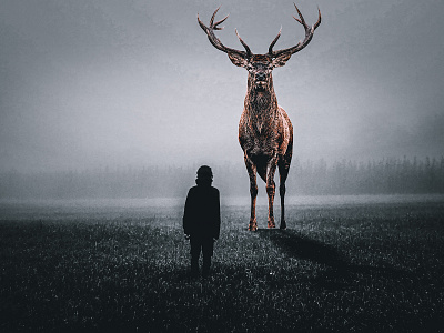 Lost Friend art clean concept creative design dribbble graphic design illustration logo ui