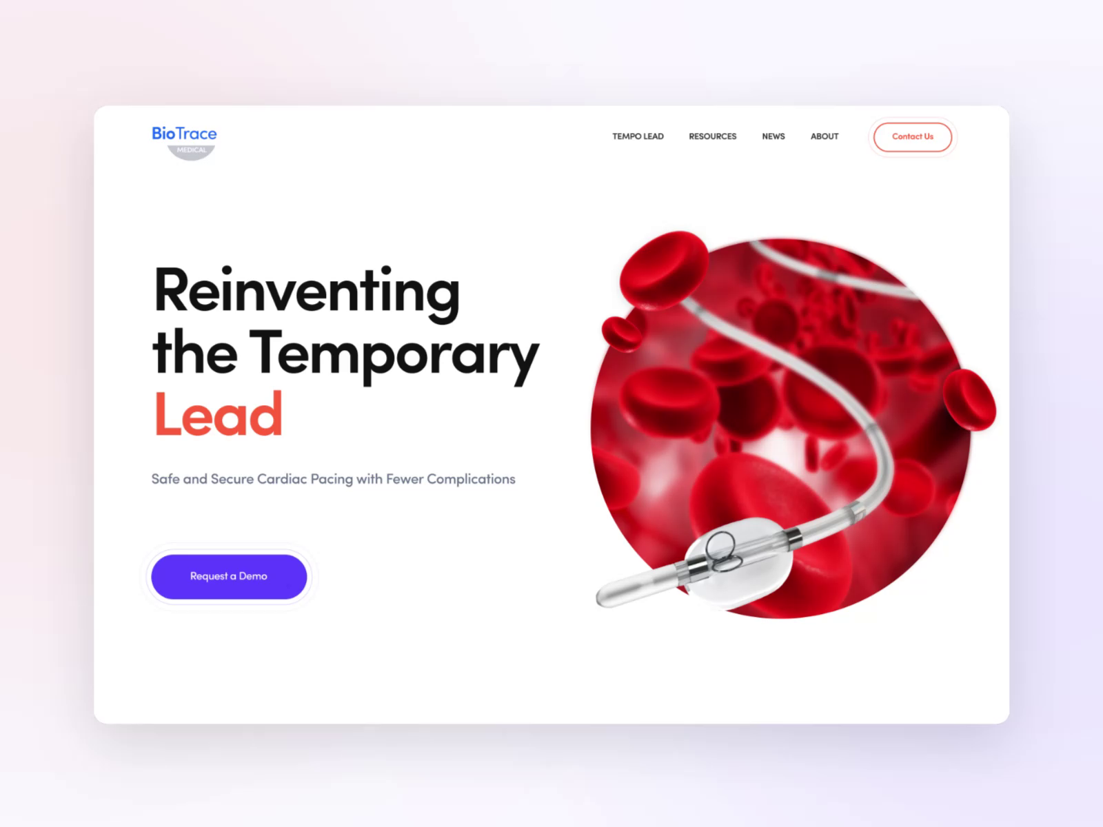 Example of Business & Corporate Website 💻