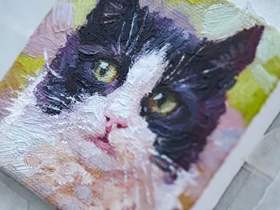 Miniature cat oil canvas painting animal animal art art artwork canvas art canvas painting cat cat art cat illustration cat painting cute illustration kitten miniature oil oil paintring painting pet portrait traditional art