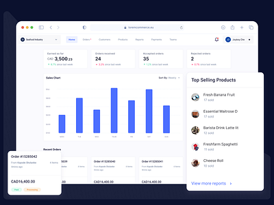 Dashboard for Sellers dashboard design e commerce