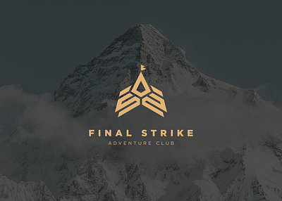 Final Strike Brand Identity and Logo Design brand identity branding lettermark logo logo design