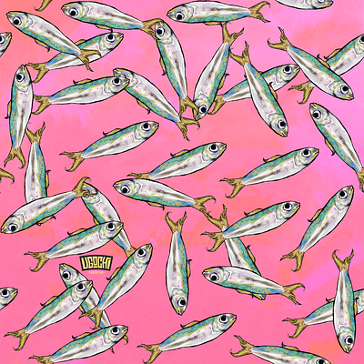 aNCHOVIES anchovies sardines