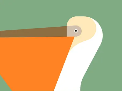 Birds animal bird birds fly ganet geometric illustration minimal pelican seabird seagull vector vectorillustration wild wildlife wings
