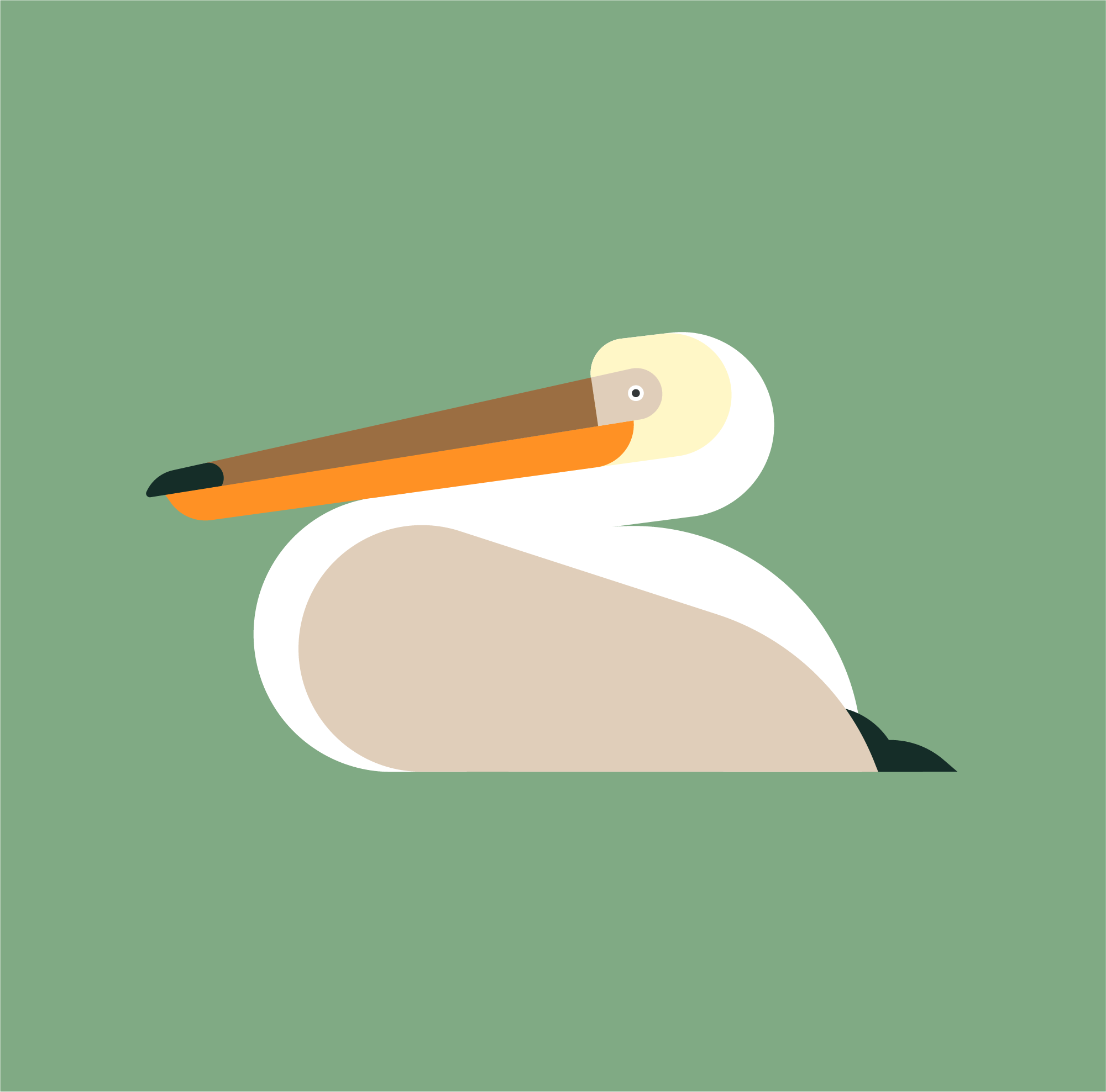 Pelican animal bird fly geometric illustration pelican vector wild wildlife wings