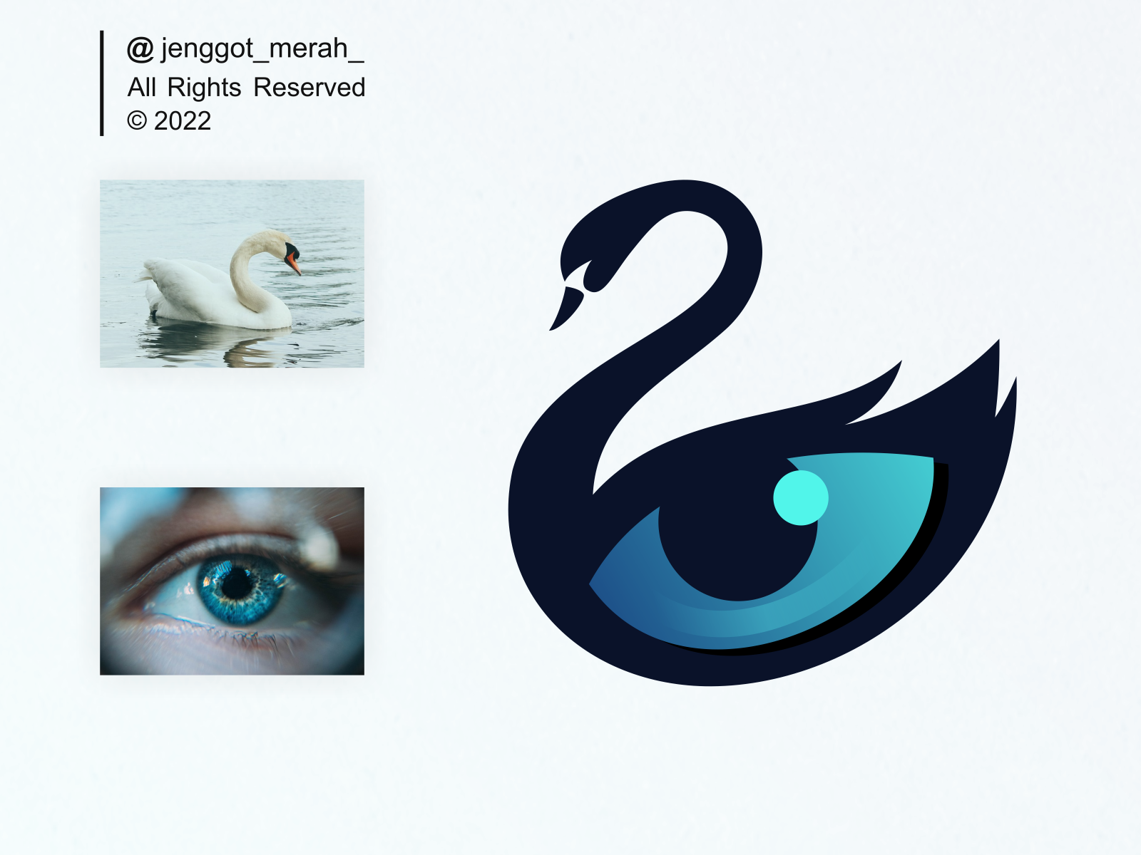 Swansee Logo design bird birds brand brand identity branding crane dual meaning eye goose icon illustration logo logo design mark negative space strork swan symbol vision wings