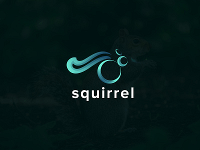 Modern squirrel logo concept abstract animel brand identity branding creative creative logo design farm farmer graphic design illustration logo logo design logomaker logotype pet symbol