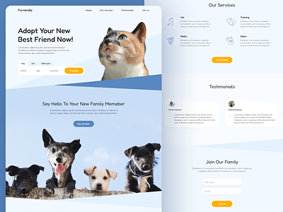 Pet Adoption Web Design adopt adoption blue cat clean design dog pet pets ui ux web