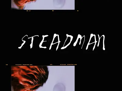 Steadman font branding design illustration typography