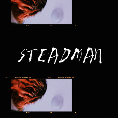 Steadman font branding design illustration typography