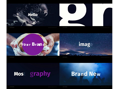 ENVATO | Fast Typography Promo titles