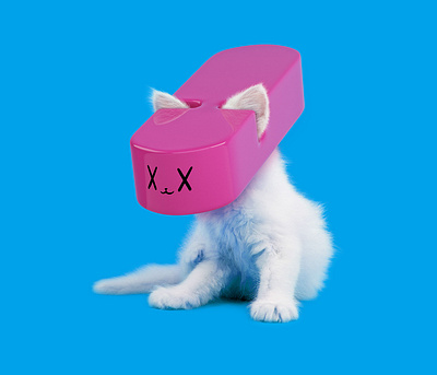 Kitten Casque 3d character foreal illustration mixed media