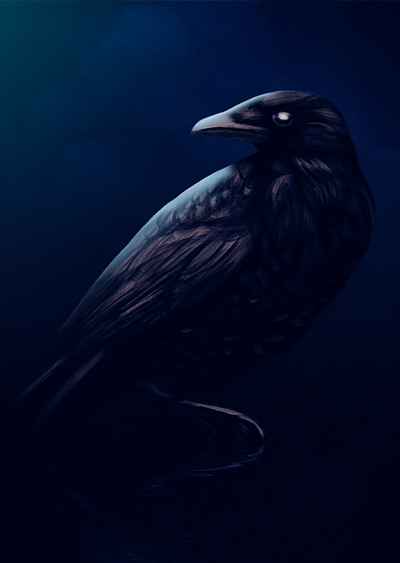 Raven cg crow drawling horror illustration painting raven
