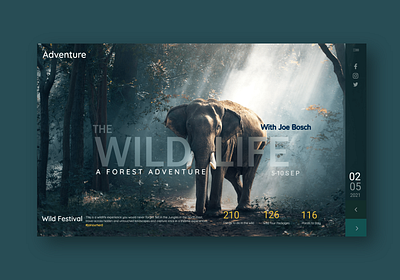 Wild Life Adventure app behance branding design designer graphic design illustration logo typography ui ux uxdesign vector web wildlife