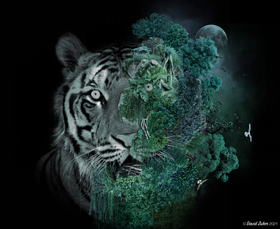 "The night falls over the deep nature"