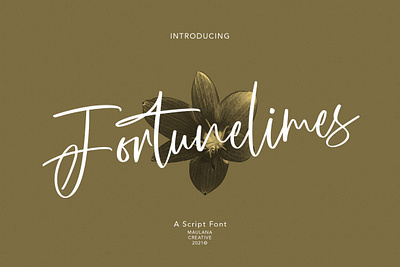 Fortunelimes Script Font font scriptfont typeface typography