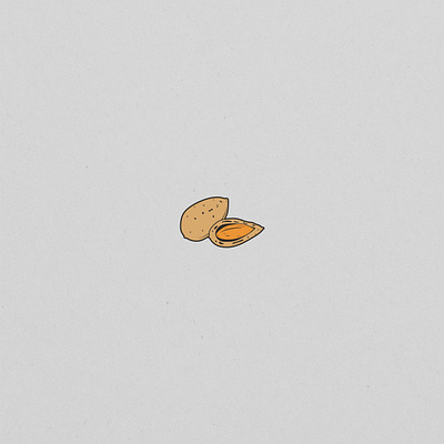 Almond almond branding design icon illustration logo tea