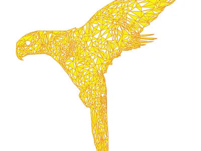Yellow Bird design graphic design illustration