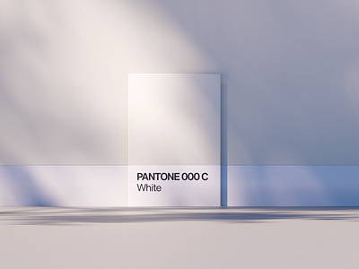 White 3d c4d chip color octane pantone white