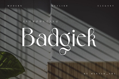 Badgiek | Modern Stylish Font advertising font branding font classy font displa display font elegant font fashion font fonts lettering logo font luxury font magazine font minimalist font modern font sans serif font serif font stylish font typeface typography unique font