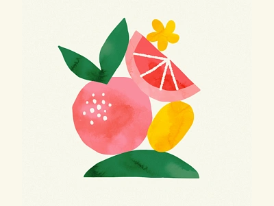 Grapefruit abstract branding design flower food fruit graphic design illustration packaging texture