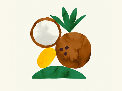 Coconut branding coconut design food fruit graphic design illustration organic packaging