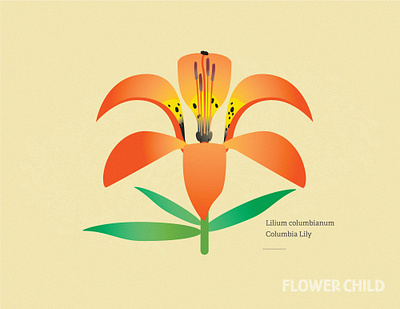 2 many lillies brand canadian rockies creative direction design flower specimens gamification hike hike with kids identity illustration thewayfindercompany trail kids trail testing trail time wco active guide systems wco ags wild flower child wildflowers