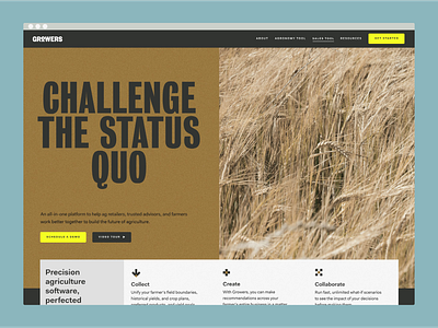 Growers homepage branding brown ui website