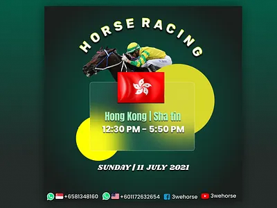 Shatin | HK Horse Racing branding design graphic design illustration logo typography ui ux vector