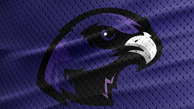 College Park High School Football Logo adobe illustrator adobe photoshop bird logo branding falcon logo football football logo high school football logo logo design sport logo sports sports logo