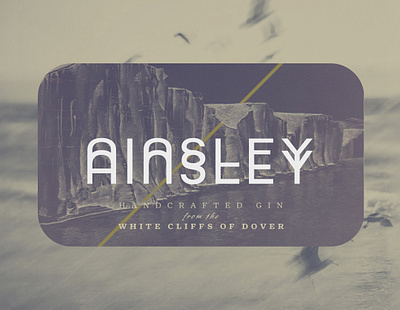 Ainsley Gin adobe illustrator adobe photoshop brand identity branding design graphic design logo design visual branding