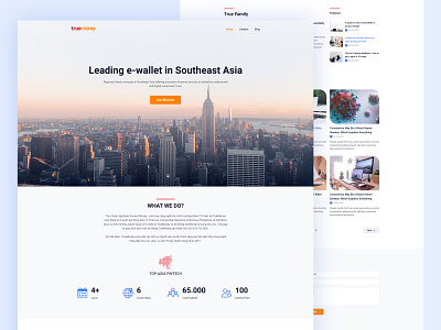 TrueMoney - E-Wallet Website branding e wallet web website