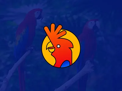 Birds Logo Concept birds brand identity branding concept design flat logo gradient logo logo design logotype mark minimal modern monogram simple symbol