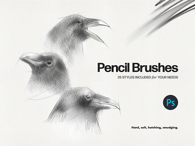 Basic Pencil Photoshop Brushes art brushes calligraphy charcoal crayon doodling drawing graphite hard hatching illustration paper pencil photoshop picture realistic sketching smudge soft texture