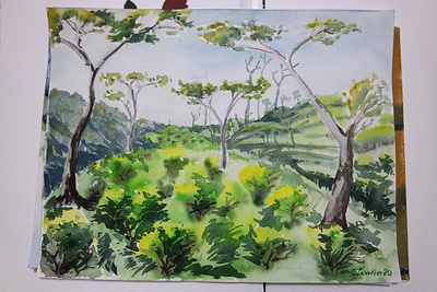 Watercolor Bangladesh TeaGarden illustration nature watercolor watercolorpainting
