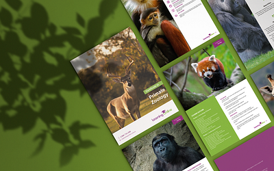 Primate Zoology Presentation design icons illustration pitch deck presentation