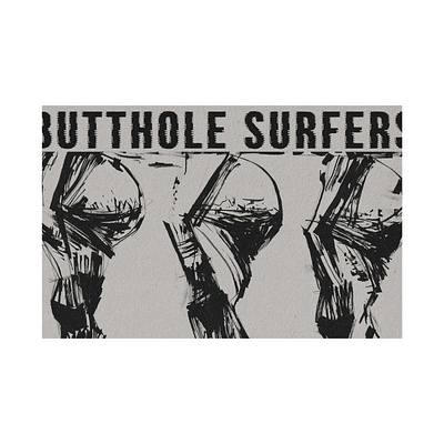 Butthole surfers poster. bands design graphic design illustration illustrator music typography