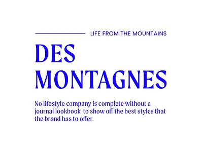 The Journal brand minimalism modern mountains ski type typography