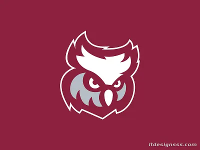 Owl Mascot design illustration logo mascot mascots owl owl branding owl identity owl logo owl mascot owl mascot logo owl sports identity owl sports logo owls owls esports owls logo owls school logo owls sports owls sports logo sports mascot