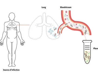Bio illustration graphic illustration presentation graphic science illustration