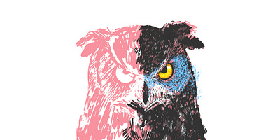 Owl colorfull digitalart illustration owl sketch