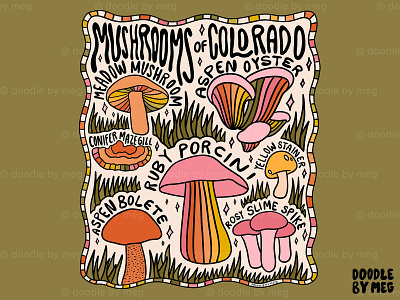 Mushrooms of Colorado 60s 70s colorado cottage core design drawing forest illustration lettering mushroom mushrooms nature plants procreate rainbow typography vintage