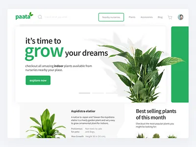 paata - a plants related online multi-vendor platform branding design ecommerce figma logo plants prototype storyboard ui ux vector website wireframe